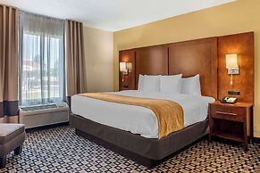 Comfort Inn And Suites Athens