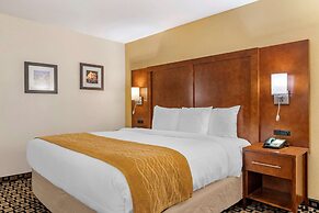 Comfort Inn And Suites Athens