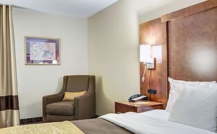 Comfort Inn And Suites Athens