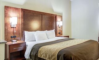 Comfort Inn And Suites Athens