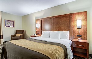 Comfort Inn And Suites Athens