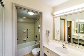 Econo Lodge Inn & Suites University