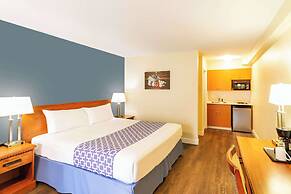 Econo Lodge Inn & Suites University