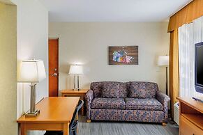 Econo Lodge Inn & Suites University