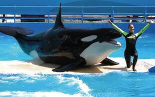 Holiday Inn Miami Beach - Oceanfront by IHG