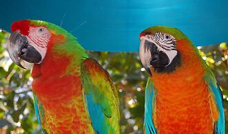 Holiday Inn Miami Beach - Oceanfront by IHG