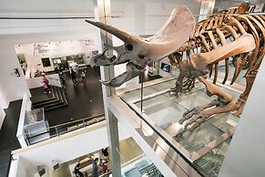 Holiday Inn Express Belfast City by IHG