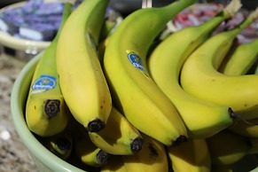 Travelodge by Wyndham Florida City/Homestead/Everglades