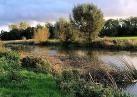 Pettifers Freehouse Hotel