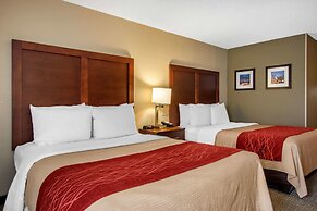 Comfort Inn Sandy Springs - Perimeter