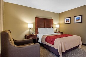 Comfort Inn Sandy Springs - Perimeter