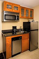 Residence Inn Atlanta Downtown by Marriott