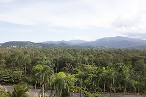 Wyndham Grand Rio Mar Rainforest Beach and Golf Resort