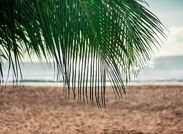 Wyndham Grand Rio Mar Rainforest Beach and Golf Resort