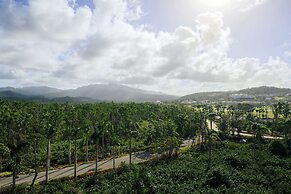 Wyndham Grand Rio Mar Rainforest Beach and Golf Resort