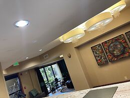 Hampton Inn Hot Springs