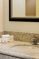 Courtyard by Marriott Houston Hobby Airport