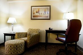 Holiday Inn Express Hotel & Suites DFW Airport South by IHG