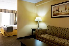 Holiday Inn Express Hotel & Suites DFW Airport South by IHG
