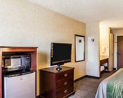 Quality Inn Denver Northeast Brighton