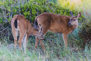 BayVue Hotel, Resort and Suites