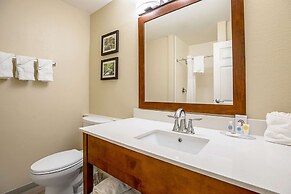 Comfort Inn Indianapolis North - Carmel