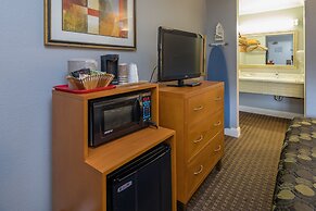 SOMA Park Inn – Civic Center
