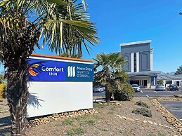 Comfort Inn Conover-Hickory