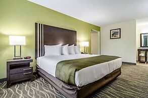 Quality Inn & Suites Creedmor - Butner