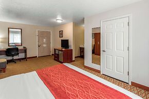 Comfort Inn Mount Shasta Area