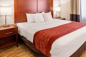 Comfort Inn Mount Shasta Area