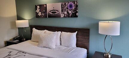 Sleep Inn Bessemer Helena