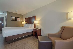 Comfort Inn & Suites Alamosa