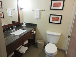 Comfort Inn & Suites Alamosa