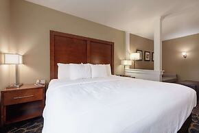 Comfort Inn & Suites Alamosa