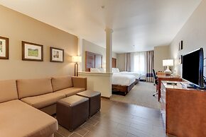 Comfort Inn & Suites Alamosa