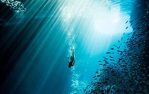 Four Seasons Resort Hualalai