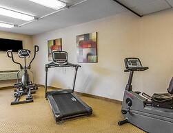 Rodeway Inn & Suites