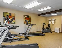 Rodeway Inn & Suites