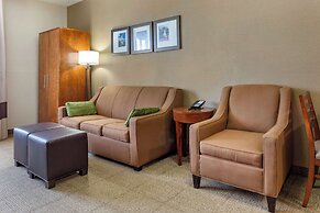 Comfort Suites Dover