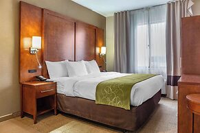 Comfort Suites Dover