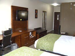 Comfort Suites Dover