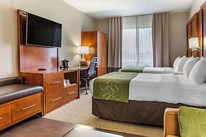 Comfort Suites Dover