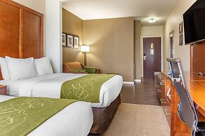 Comfort Suites Dover