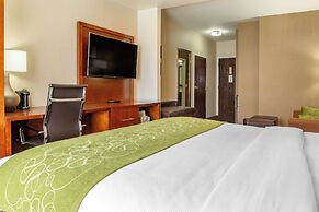 Comfort Suites Dover