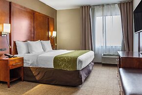 Comfort Suites Dover