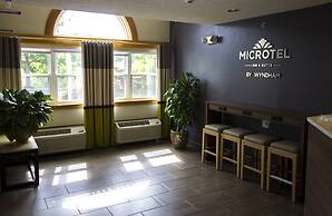 Microtel Inn by Wyndham Victor/Rochester