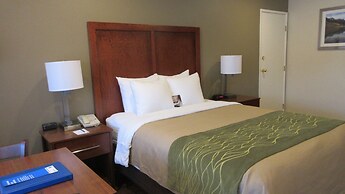 Comfort Inn Bishop