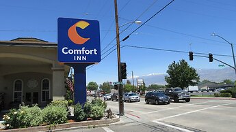 Comfort Inn Bishop