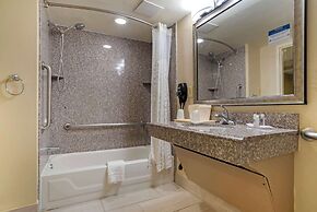 Comfort Inn University Area